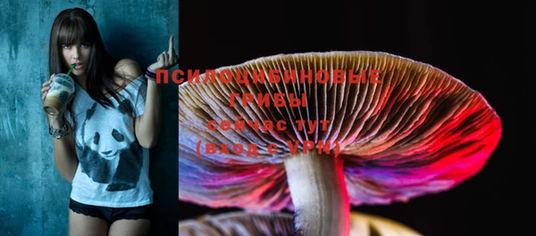 дживик Липки